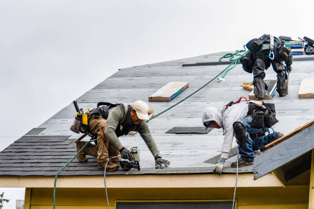 Professional Flat Roof Repair technician working in Mayville, NY